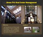 www.bronxprogroup.com